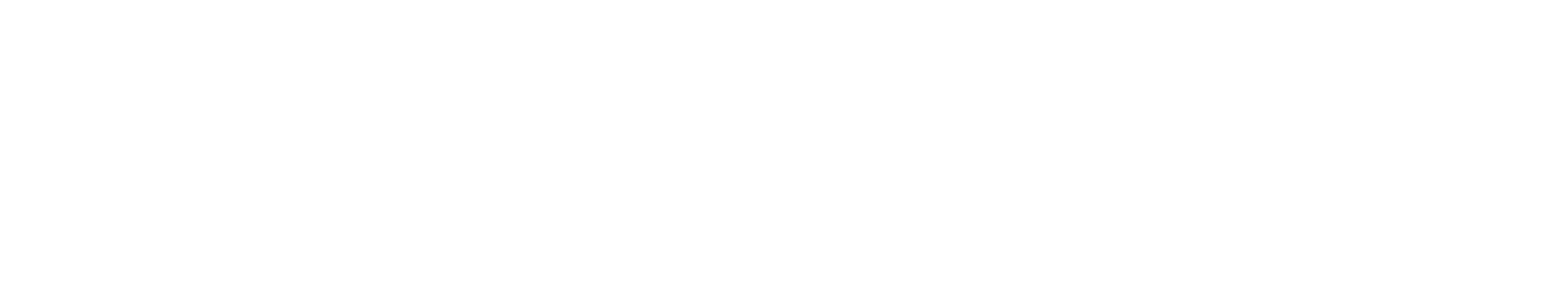 AG - Site Logo white